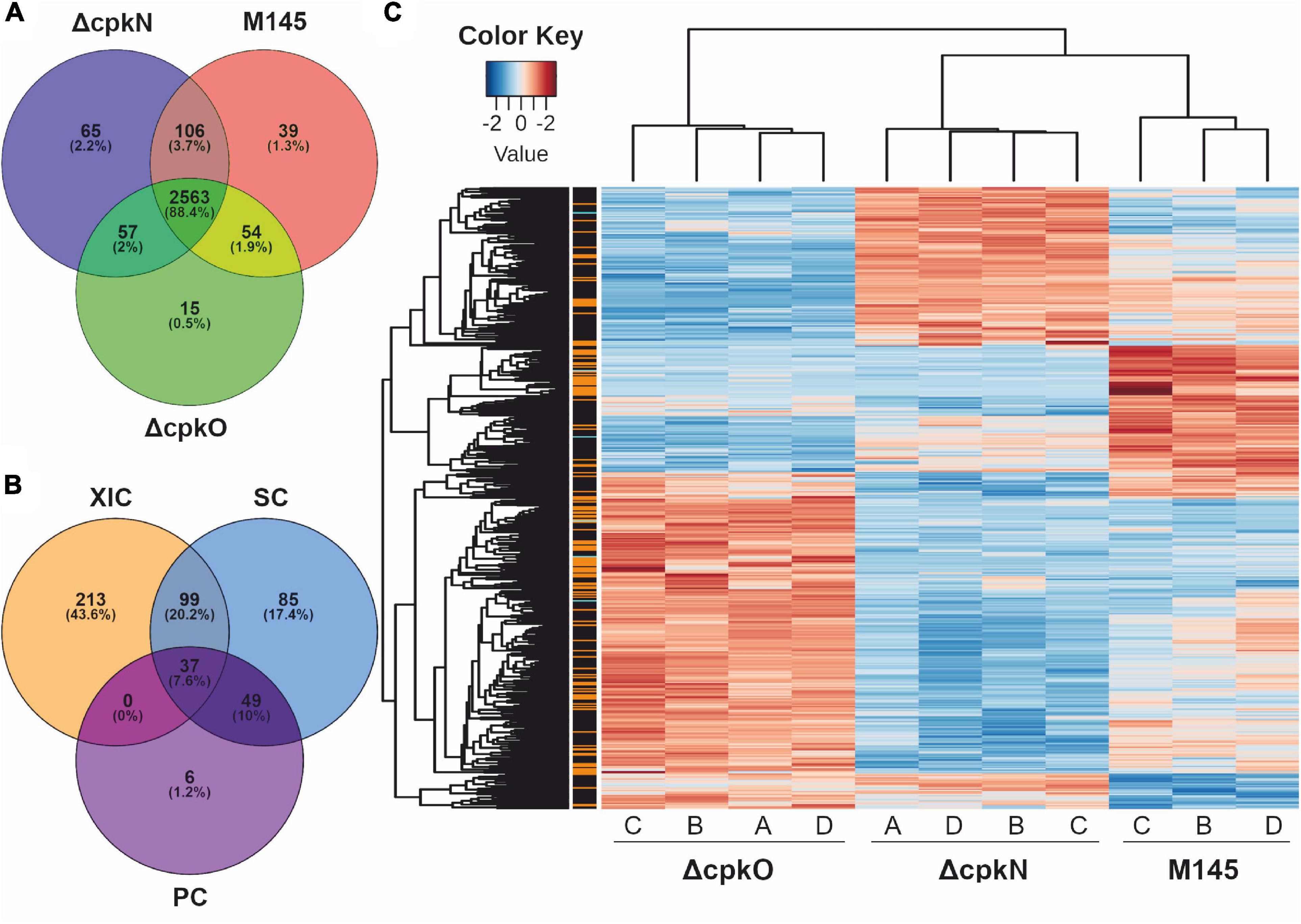 Activatory proteins of the specialized metabolite Coelimycin