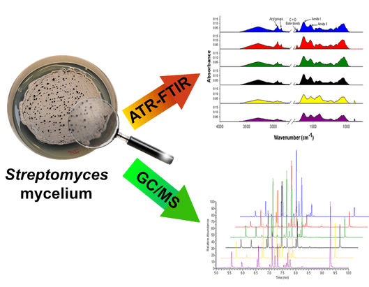 Spectroscopy method for quantification of microbial lipids